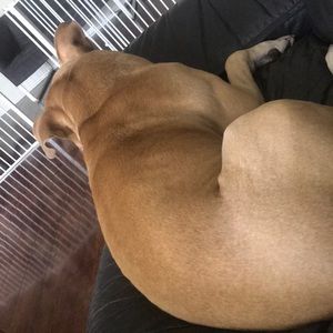 Meet your Posher, Connor